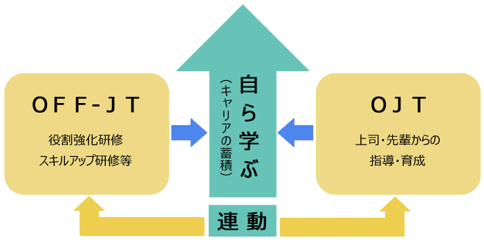 教育体系イメージ