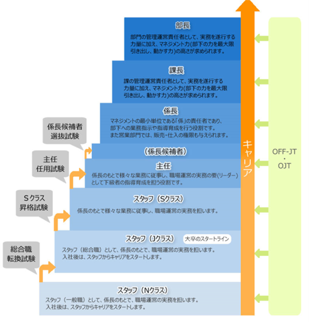 キャリア形成イメージ