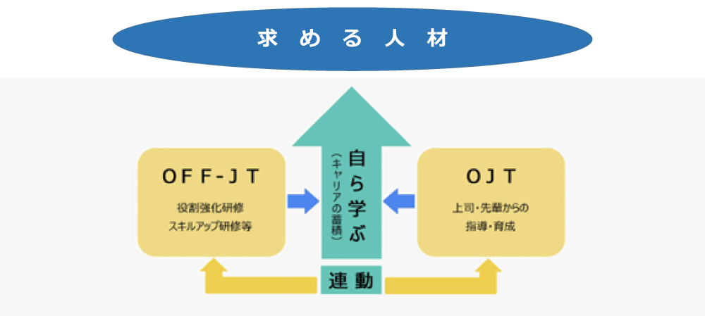 教育体系イメージ
